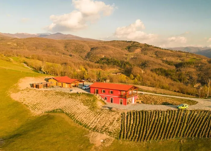 Azienda Agricola Saint Hubert